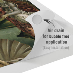 Lex Altern Vinyl MacBook Skin The Birth of Venus